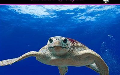 THE ABC’s OF REPTILES (Grandma Sweetie Series Book 6) (English Edition) , mascotas