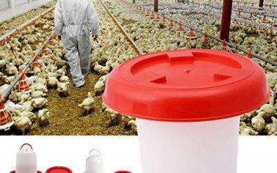 ypypiaol – Comedero para Bebedero de Aves de Corral, gallina, Pan, Comida y Agua, Suministros de riego para Animales