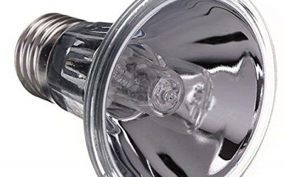 HoneyCare – Bombilla UVA UVB de 50 W con Espectro Completo de Tortuga de Acuario, Repelente acuático, iluminación de Calor