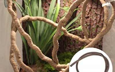 Yanhonin Decor terrario, Vines de diseño decoración para Reptiles Anfibios Reptiles