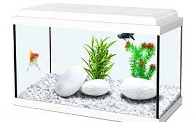 Acuario blanco para niños