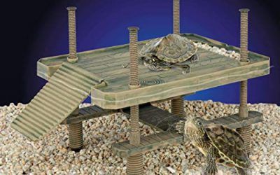 Penn-Plax Gran Tortuga Muelle para Uso en y Fuera del Agua te bronceas Plataforma para pequeñas Reptiles