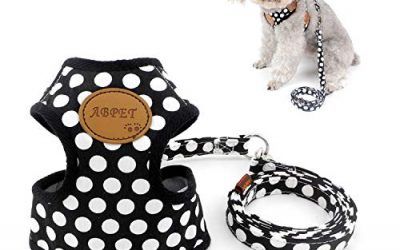 Zunea Nylon Soft Mesh Transpirable Mascota Cachorro Pequeño Perro Gato Chaleco Arnés y Correa Set Leads Ajustable No Pull Walking Control Negro S