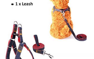 Sopito arnés con Correa Ajustable de Vaquero para Mascotas Perro,Gato,cinturón de Pecho y Espalda,Hombro para Llevar Perros con Seguridad para Perro pequeño,Mediano,Grande (Rojo, XS)