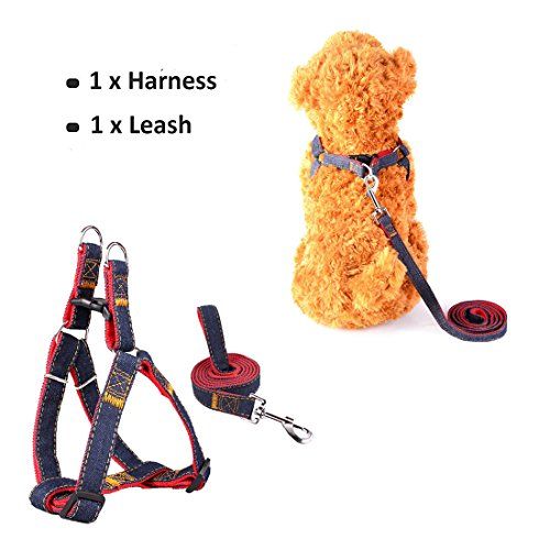 Sopito arnés con Correa Ajustable de Vaquero para Mascotas Perro,Gato,cinturón de Pecho y Espalda,Hombro para Llevar Perros con Seguridad para Perro pequeño,Mediano,Grande (Rojo, XS)
