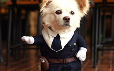 Disfraz para mascotas pequeñas, de la marca Hoopet