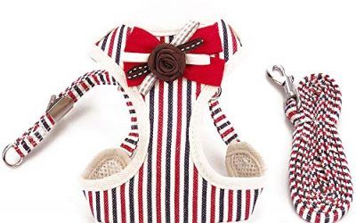 PET SPPTIES Arnés de Perro pequeño Arnés de Gato Chaleco Ajustable para Cachorros, pequeño, Gatos, Mascotas pequeñas PS025 (XS, Striped Red) , mascotas