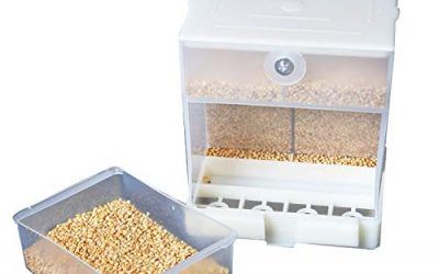 KidsHobby Comedero Pajaros Automático, Comederos para Pajaros Alimentador de Pájaros Contenedor de Alimentos para Periquito Canario Cockatiel