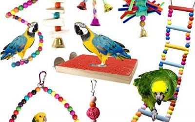 Juguetes para Pájaros, PietyPet 8 Piezas Perchas Pájaros Juguetes con Campanas, Escalera de madera, Columpios, Hamaca de Madera, Que cuelga la Perca Juguete para pequeños y medianos loros de aves