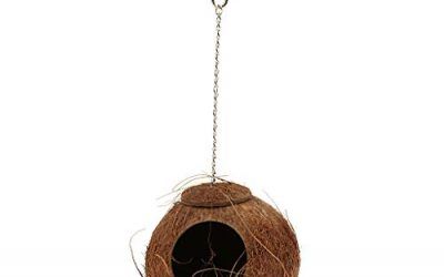perfk Juguete Natural de Cáscara Casa Jerarquía Pájaro Coco para Oscilación Loro Animal Doméstico