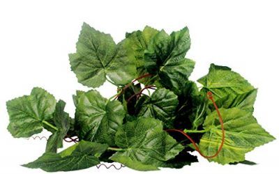 Generic Reptil Terrarium Vivarium / Uvas Vides de Hiedra de Ornamento Planta Hiedra Vides Artificial Verde – 1