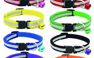 BETOY 8 pcs Collar para Gato,Collar Reflectante Gatos Pequeño, Ajustables para Gato con Campaña Luminoso Hebilla Seguro de Liberación Rápida,Etiquetas de identificación para Mascotas