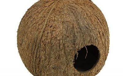 JBL Coco de Carcasa como Cueva para acuarios y terrarios, Cocos Cava
