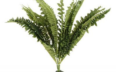 joyMerit Plástico Paisaje Decoración Plantas Artificiales Reptiles Terrario Acuario – Estilo 1, Individual
