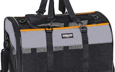 Songwin Trasportin Gato Grande Trasportines Perro Bolsa de Tela Transporte para Gato y Animales Viaje Bolso para Coche (Gris, L)