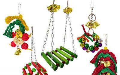 Camiter – Juego de 5 Piezas de Jaula de Loro para Mascotas, Perros, Loros, Loros, Loros, Loros, Loros, guacamayos, periquitos, cacatúas, cacatúas, Conos, cacatúas, decoración de Navidad