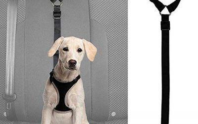 SODIAL Traílla Arnés para Cinturón de Asiento de Coche Ajustable de Seguridad para Perro Gato Mascota Plomo Correa de Clip de Viaje