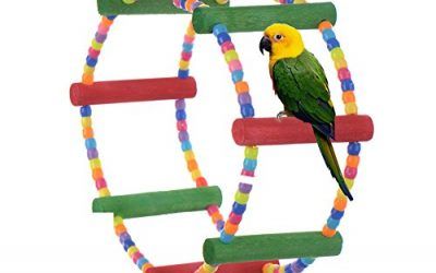 LianLe Juguete de madera para pájaros – periquitos – loros