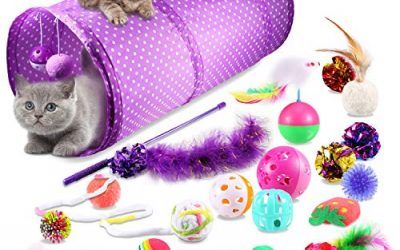 Yosemy Juguetes para Gatos Interactivos, Mascota Gato Captura Juguetes De Entrenamiento, 20 Piezas