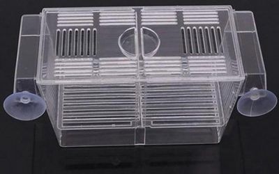 Yinong – Caja para Acuario para cría de Peces – Caja para incubadora Multifuncional con pipetas pastoras , mascotas