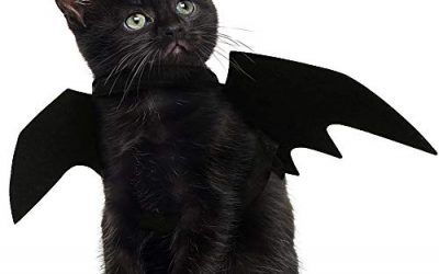 JDYW Disfraz de Gato Mascota Alas de murciélago para Perros Disfraz de Disfraz de Mascotas (Alas de murciélago)