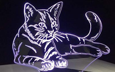 Acostado gato cómodo 3D luces LED Acrílico noche luz USB táctil luz niños linda noche dormitorio luces casual 7 regalos coloridos