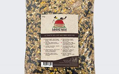 Seedzbox Súper Lujosa Mezcla de Semillas para Aves Salvajes, Bolsa de 2 kg, Comida para Pájaros