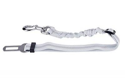 Fdit – Correa elástica Reflectante para Perro o Gato con Cuerda telescópica