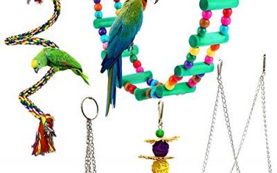Juego de 5 piezas de perchas para pájaros con forma de campana para colgar, juguetes para masticar, escalera de madera, hamaca para loros pequeños y medianos, cacatúas, conuras, guacamayos, pinzones