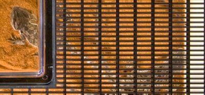 Exo Terra PT2265 – Terrario de Plástico Faunarium Grande
