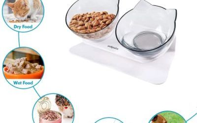 Edipets, Comedero Gato, Bebedero Gatos, Transparente, Tazón Doble Ajustable, Cuenco con Soporte Elevado, Agua y Comida, Evita Lesiones Cervicales (Doble)
