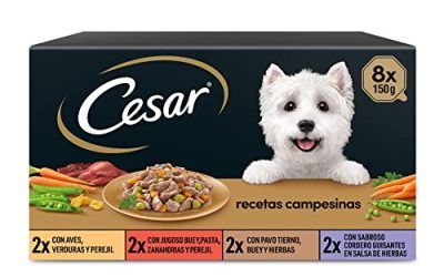 Cesar Comida Húmeda para Perros, Selección Recetas Campesinas en Salsa, Multipack (Pack de 3 x 8 Tarrinas x 150g)