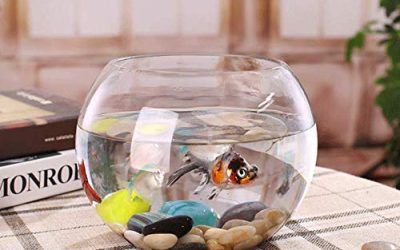 Pecera de Cristal Redonda 16 Cm de Diámetro, pecera esférica, Acuario Pequeño, Acuario para Peces, acuarios y peceras Completa