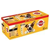 PEDIGREE Vital Protection – Comida para Perros en Bolsa, Salsa de Pollo, Ternera, Ave y Cordero, 40 x 100 g, Paquete Grande