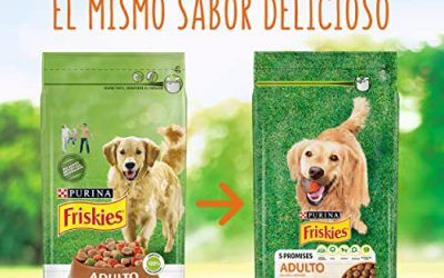 Purina Friskies Pienso para Perro Adulto Aves y Verduras 10 Kg
