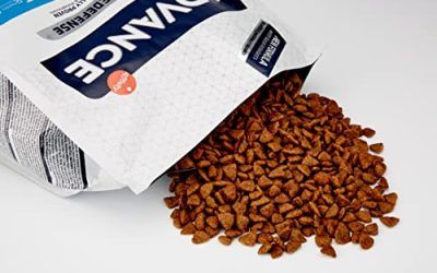 Advance Mini Adult con Pollo y Arroz 3kg