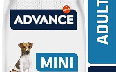ADVANCE Adult Mini – Pienso Para Perros Adultos De Razas Pequeñas Con Pollo – Pack De 4 x 1,5 kg – Total 6 kg