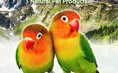 Arquivet Bebedero de plástico en voladeras para pájaros – 85 CC – Canarios, periquitos -Se Puede Instalar en jardín – Útil para Exteriores – Suministros para Aves