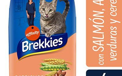 BREKKIES EXCEL alimento para gatos sabor salmón y atún bolsa 4 kg