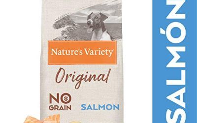 Nature’s Variety Original No Grain – Pienso para perros adultos mini con salmón sin espinas 7 Kg