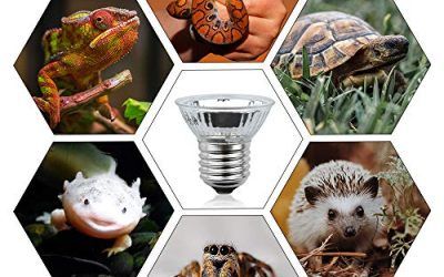 Luxvista E27 50W Bombilla de Calentamiento de Reptiles, UVA UVB Lámpara Solarde Espectro Completo Toma el Sol, para Reptiles y Anfibios Lagarto Tortuga Araña Serpiente (4-Unidades, Luz Cálida 2700K)