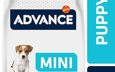 Advance Mini Puppy Rico en Pollo y Arroz 3Kg