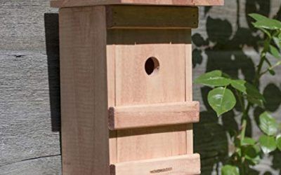 Windhager Caja Nido para pájaros Birdy, Nido, Incubadora de Aves, Ayuda para el Nido de Aves, 06961