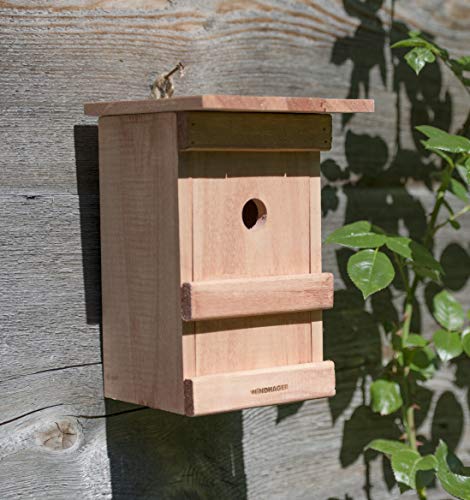 Windhager Caja Nido para pájaros Birdy, Nido, Incubadora de Aves, Ayuda para el Nido de Aves, 06961