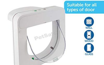 PetSafe Gatera con Microchip Petporte, Puerta para Gatos Electrónica con Reconocimiento de Chip, Funciona con Batería o Cable de Alimentación, Temporizador, Fácil Instalación en Madera, Vidrio, PVC