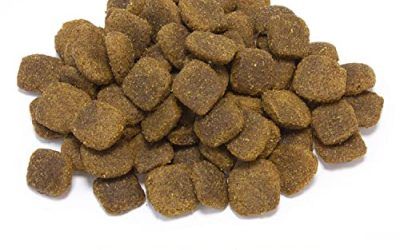 Arquivet Original Adult – Pienso para Perros Adultos – Salmón y arroz – Comida para Perros – Alimento seco para Perros – Alimentación Canina – Pienso Saludable – 12 kg