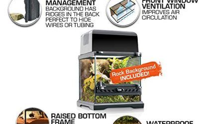 Exo Terra Terrario Nano Wide de 10,5 L, 20 x 20 x 20 cm