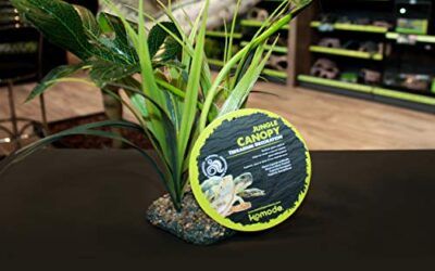 Komodo Toldo de la Selva, decoración de hábitat, Planta Artificial para Reptiles, Planta de Reptiles, Planta de terrario, Planta de vivario, 1 Unidad (Paquete de 1)