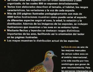 GUIA DE AVES 2ª EDICION (GUIAS DEL NATURALISTA-AVES)