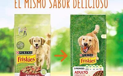 Purina Friskies Pienso para Perro Adulto Buey, Cereales y Verduras 15 Kg